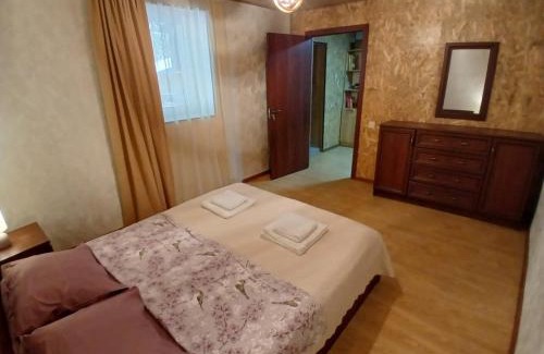 Bagvdanari Apartamento | Apartment Gira In Mestia