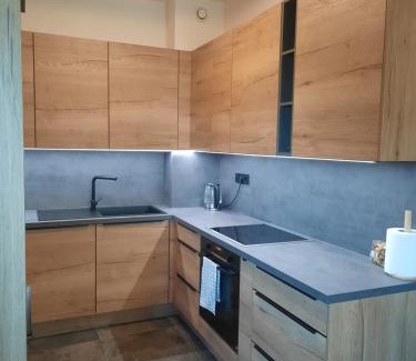 Hocko Pohorje Apartamento | Apartment - Golden Fox 18 - Pohorske terase
