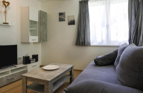 Muhlbachl Apartamento | Apartment Habicht