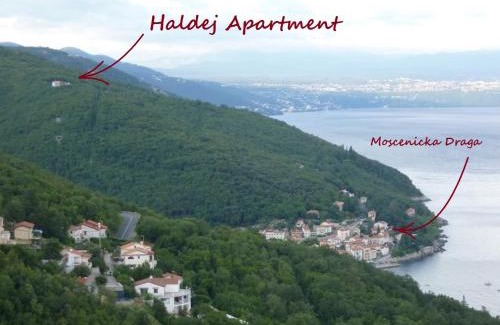 Obrs Apartamento | Apartment Haldej