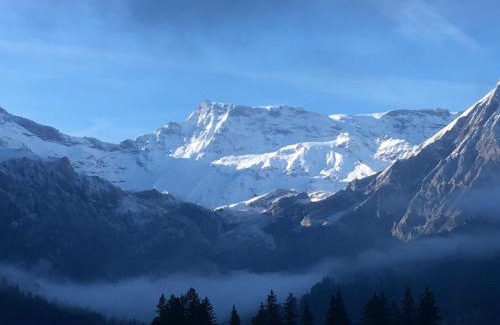 Adelboden Apartamento | Apartment Hari by Interhome