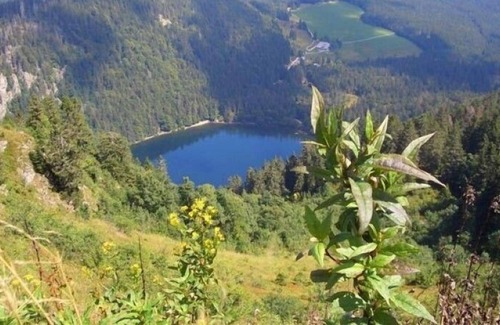 Roetenbach Apartamento | Apartment Haus-Windeck