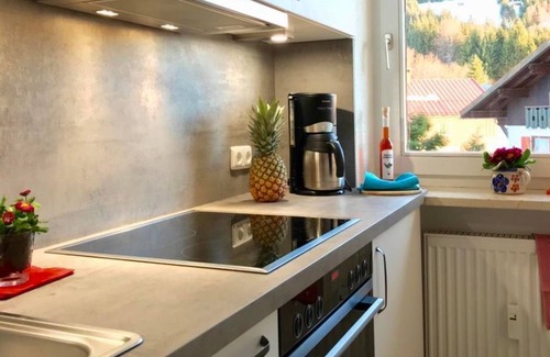 Oberjoch Apartamento | Apartment Heitmann