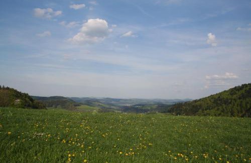 Mosnang Apartamento | Apartment Hulfteggpass