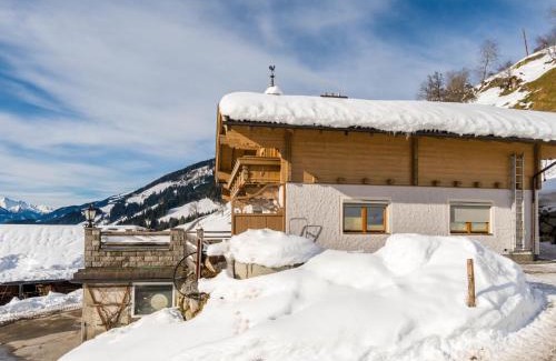 Schonbach Apartamento | Apartment in Hollersbach near Ski Lift