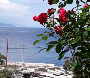 Merag Apartamento | Apartment Ilario