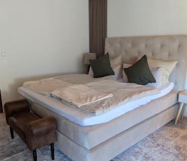 Schoenmuenzach Apartamento | Apartment im Schwarzwald -Natur, Kamin & WLAN, Nähe Baiersbronn