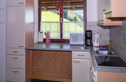 Schonbach Apartamento | Apartment in Hollersbach near Ski Slopes