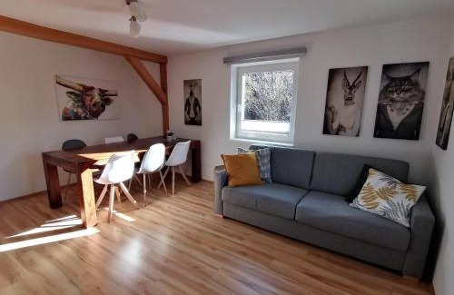 Dienten am Hochkoenig Apartamento | Apartment in Dienten near Gabühel Ski Lift, cleaning included