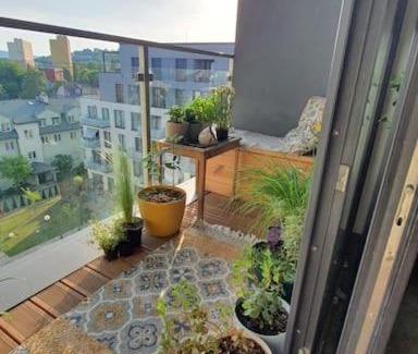 Przemysl Apartamento | Apartment in city center