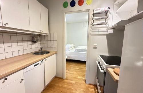Downtown Apartamento | Apartment in downtown Reykjavik - Birta Rentals