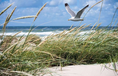 Knokke Apartamento | Apartamento en Duinbergen junto al Club Náutico