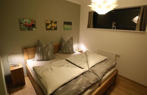 Eibenstock Apartamento | Apartment in Eibenstock