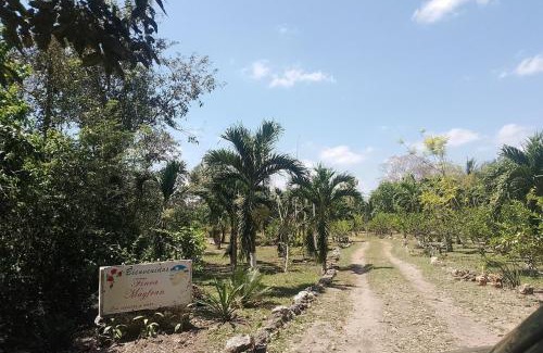 Xul-Ha Apartamento | Apartment in Finca Mayfran