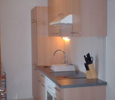 Medraz Apartamento | Apartment in Fulpmes - Tirol 711