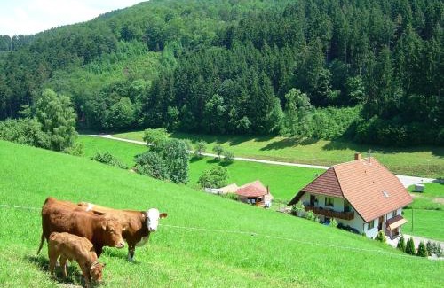 Hofstetten Apartamento | Apartment in Hofstetten surrounded by nature