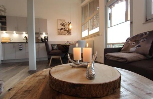Kirchdorf in Tirol Apartamento | Apartment in Kirchdorf near Ski Slopes