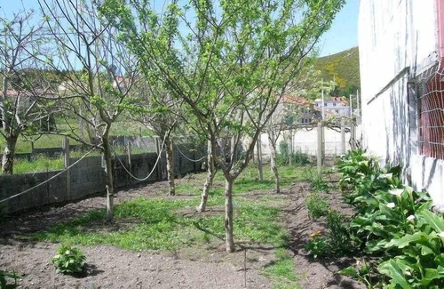 Larino Apartamento | Apartamento con patio al lado de la iglesia (IgB)