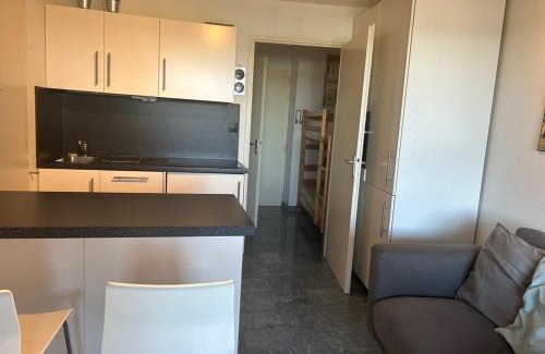 Frontignan Apartamento | Apartment in Residence with Swimming Pool and direct beach access