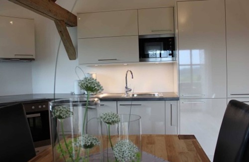 Freiamt Apartamento | Apartamento en Brennhaus - Apartamento de unos 70 metros cuadrados para máx. 4 personas