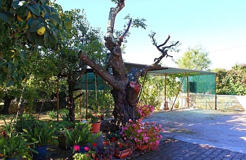 Vrvari Apartamento | Apartment in Vrvari with One-Bedroom 3