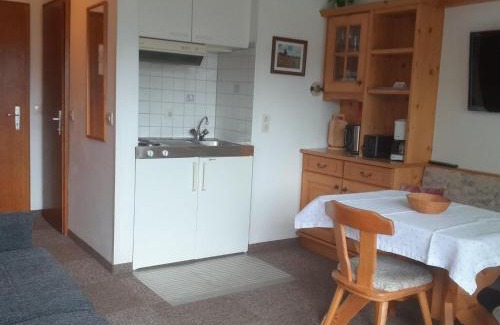 Auffach Apartamento | Apartment in Wildschönau by Schatzberg Lift