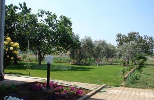 Zaton Apartamento | Apartment in Zaton (Zadar) with Terrace, Air conditioning, Wi-Fi, Washing machine (4814-4)