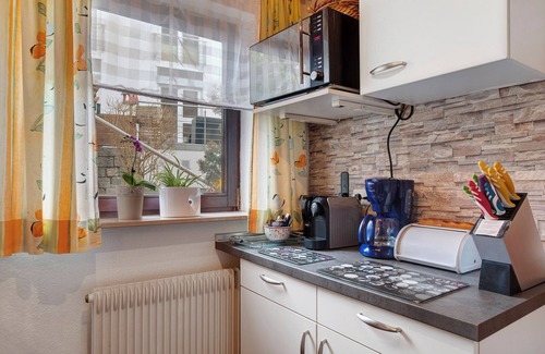 Schwarzenbach Apartamento | Apartamento 'Janßen-Wehrle' con vistas a la montaña, terraza privada y Wi-Fi