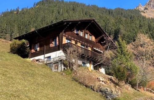 Wengen Apartamento | Apartment Jungfrau a d Ledi-1 by Interhome