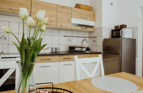 Sosnowiec Apartamento | Apartment Kraju City Centre With Massage Chair