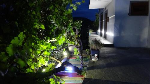 Virpazar Apartamento | Apartment Kraljica Jelena
