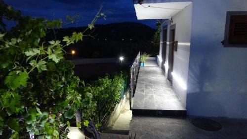 Virpazar Apartamento | Apartment Kraljica Jelena