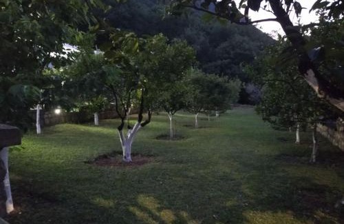 Prcanj Apartamento | Apartment Ksenija