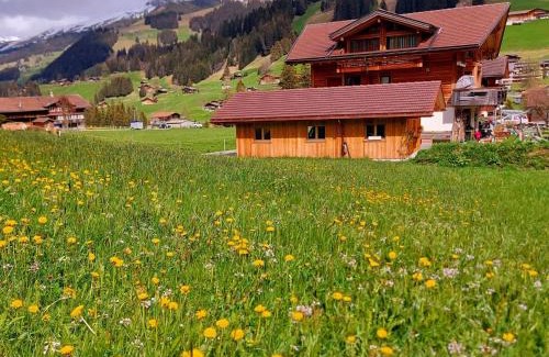 Adelboden Apartamento | Apartment Lärchehuus by Interhome