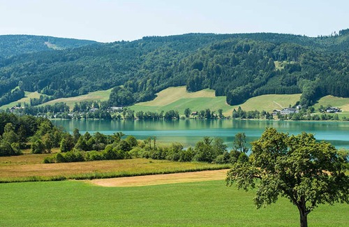 Zell Am Moos Apartamento | Apartamento vistas al lago - Pensión Krog