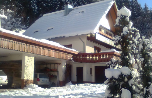 Hornberg Apartamento | Apartment 'Living in the Green' with Mountain View, Balcony and Wi-Fi
