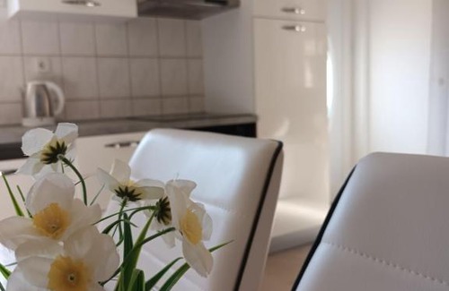 Zupa dubrovacka Apartamento | Apartment Luka 2 near Dubrovnik