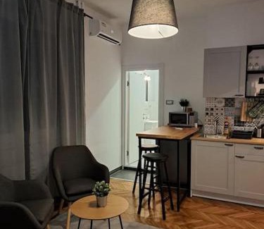 Kosancicev Venac Apartamento | Apartment Major2 in the heart of the city Belgrade