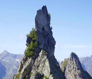 Ramsau im Zillertal Apartamento | Apartment Martina