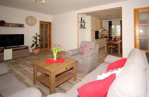 Cilipi Apartamento | Apartment Milenka - Four Bedroom Apartment with Terrace