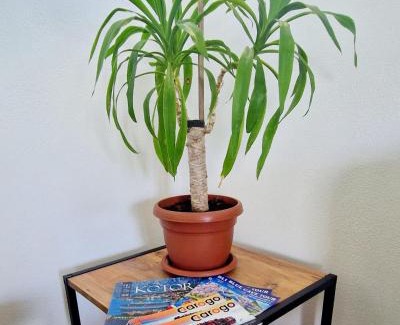 Dobrota Apartamento | Apartment MMP2, Kotor