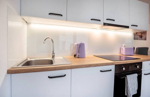 Greifswald Apartamento | Apartamento 'Modernes Loft Mit Terrasse' con jardín privado y Wi-Fi