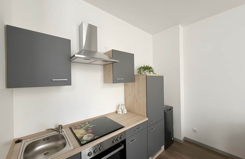 Aue Apartamento | Apartamento 'Murihaus' con Terraza Privada y Wi-Fi