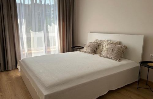 Klaipeda Apartamento | Apartment next to Sakura park and near ferry