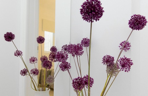Bicine Apartamento | Apartment Nina Skradin