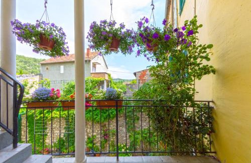 Bicine Apartamento | Apartment Nino