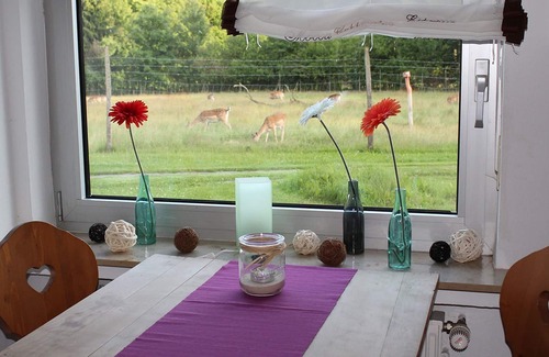 Brachthausen Apartamento | Apartment number 1, 50sqm, terrace, 1 bedroom, max. 4 people (2 adults)