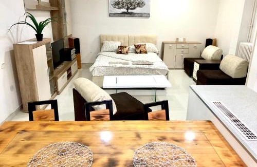 Pancevo Apartamento | Apartment on a river avenue