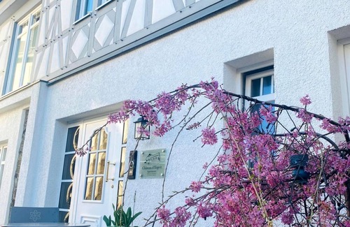 Hoehr-Grenzhausen Apartamento | Apartment Orchidee - Living room/bedroom - Apartments in the Château d'Esprit