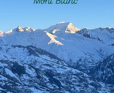 Bellentre Apartamento | Apartment Paradiski 309 - La Plagne - ski-in, ski-out